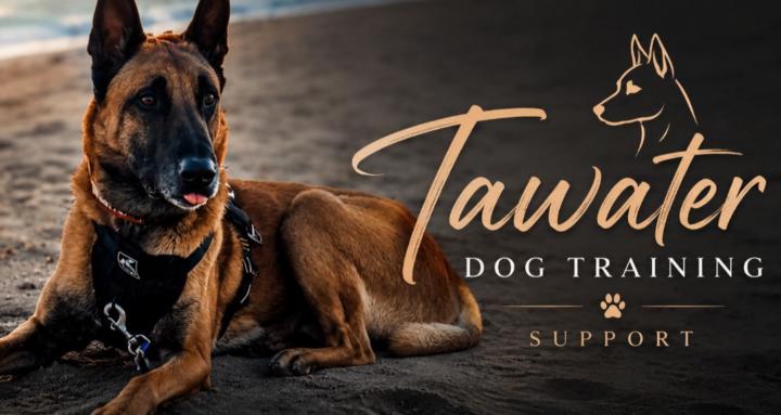 Tawater Dog Training Support