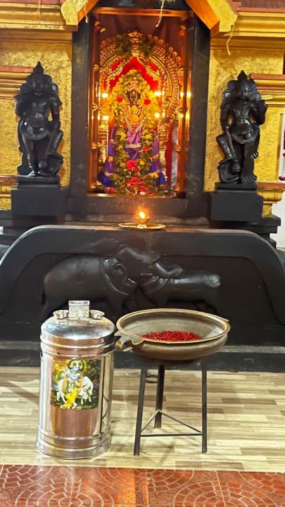 Raji Ganesan