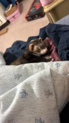 Aleyda Martínez Camacho