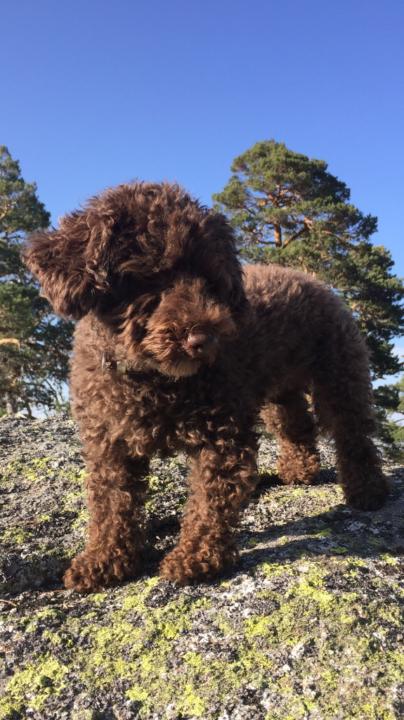 Pablo González Jerez