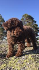 Pablo González Jerez