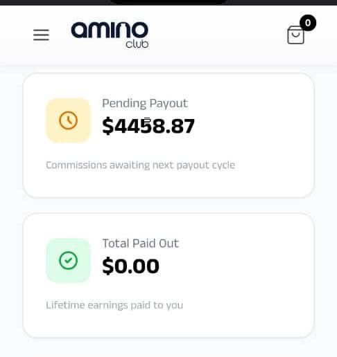 Earnings 