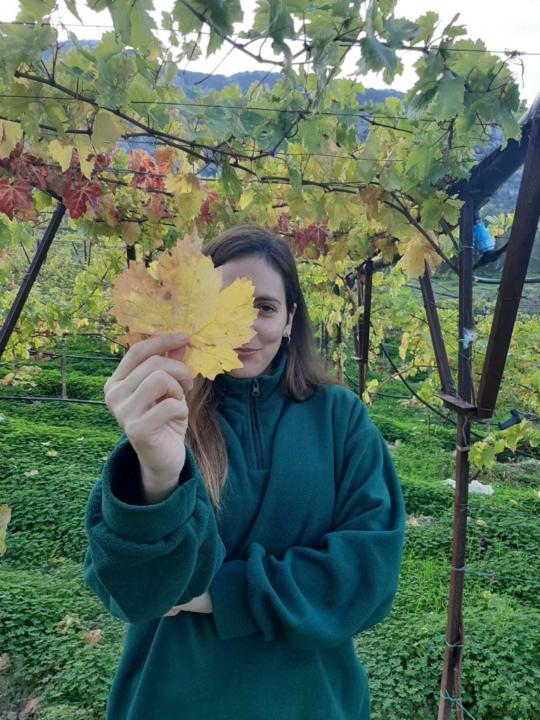 Athina Ant