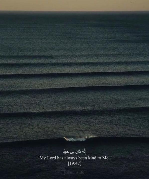 Aya Elmjt