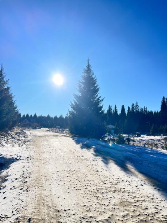 Andreea-Stefania Szekely