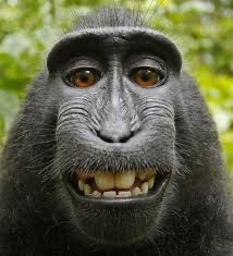 Abdisa Daniel Hamine