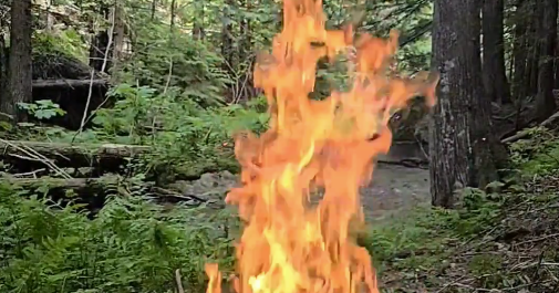 Gather round the campfire