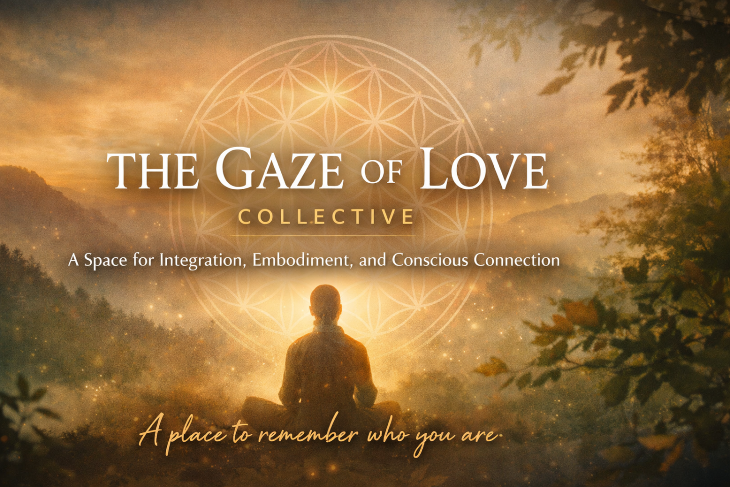 The Gaze of Love Collective