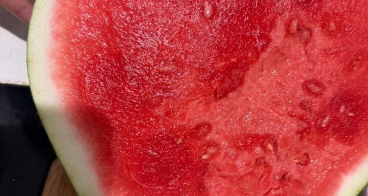 Learning to cook and recipes