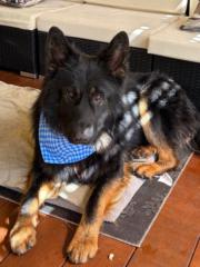 Christina Stabolidis