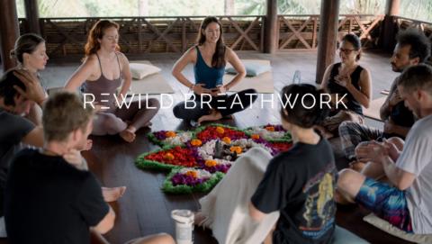 ReWild Breathwork | Free gallery image