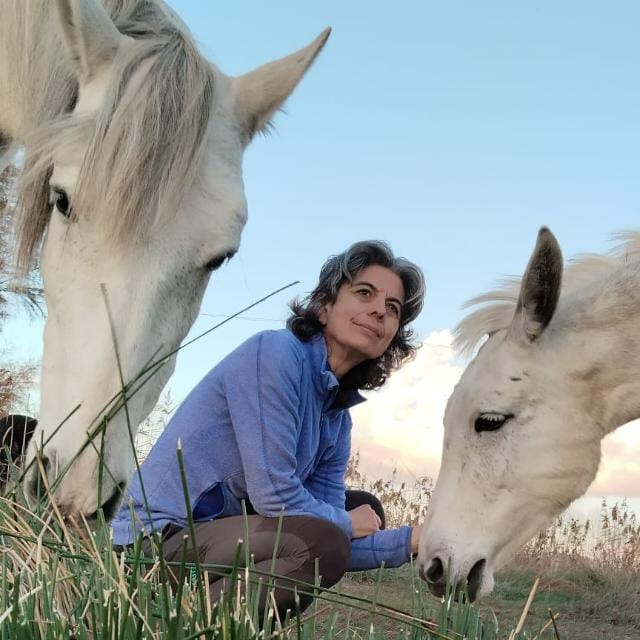 María Lopez Mayol