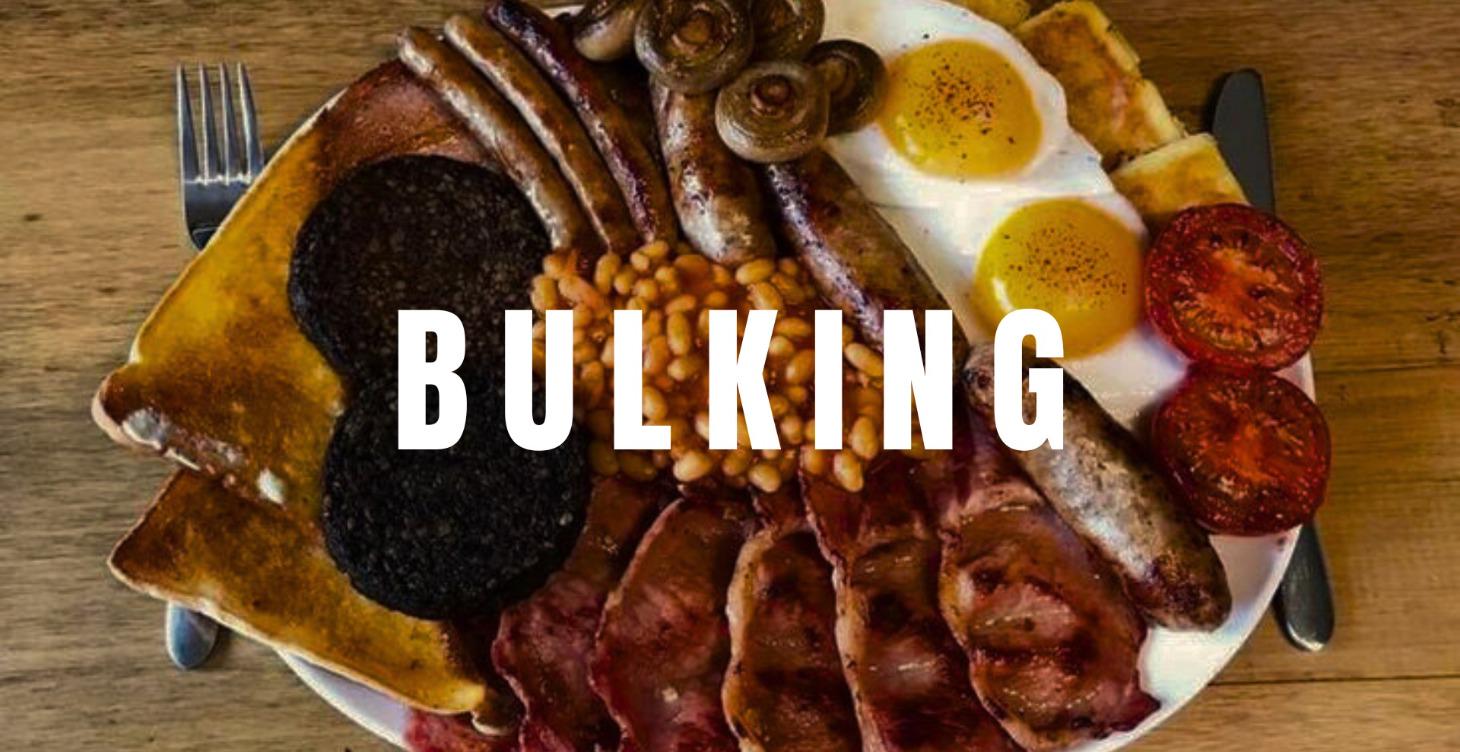 BULKING PROGRAM