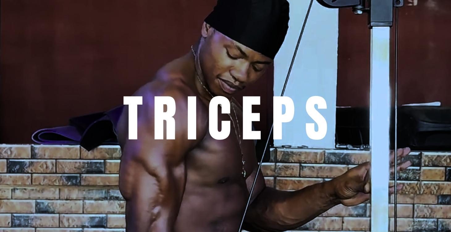 TRICEPS