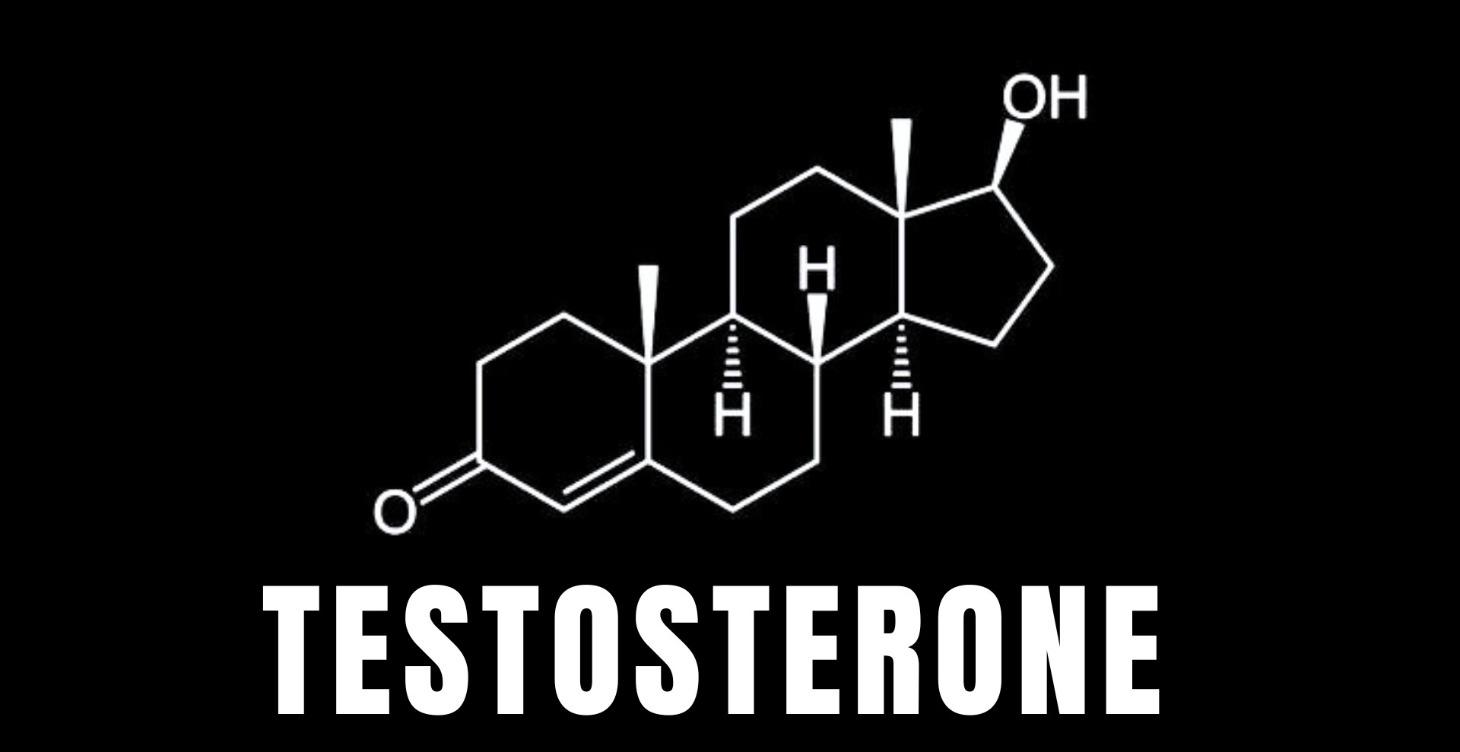 TESTOSTERONE