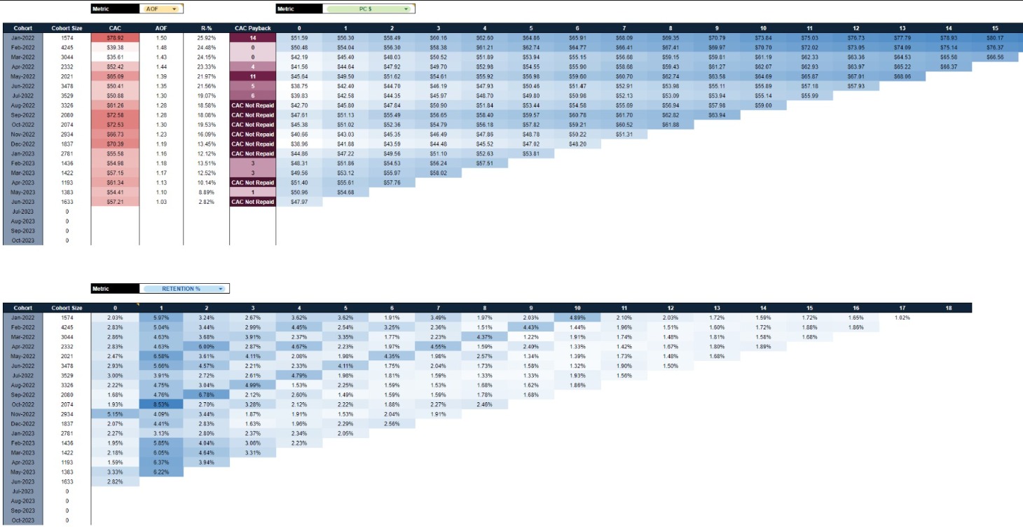 Cohort Analytics