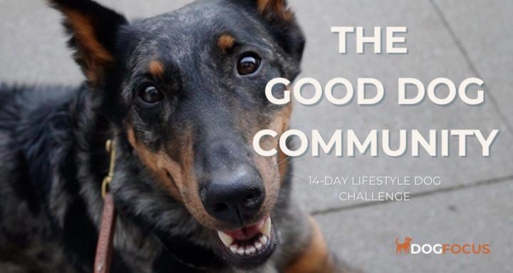 The Good Dog Community
