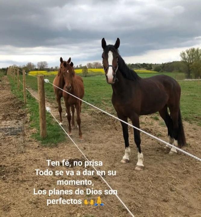 Miguel Angel Ramirez Ramirez