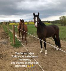 Miguel Angel Ramirez Ramirez