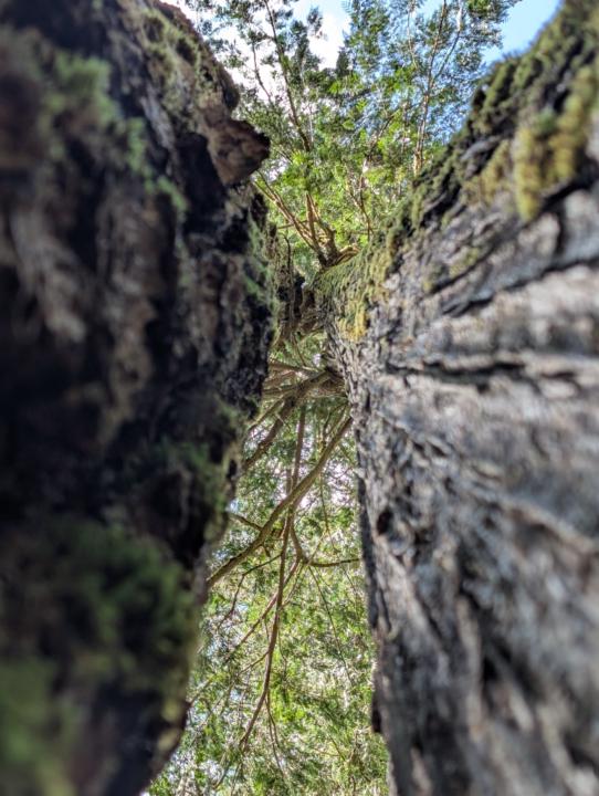 Bennett Rock
