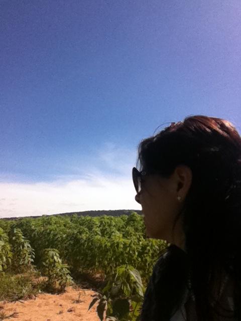 Astrid van Cranenbroek-Ocon