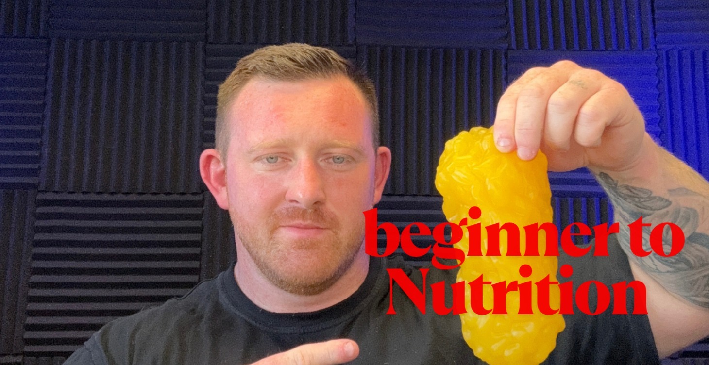 Beginner To  Nutrition Education