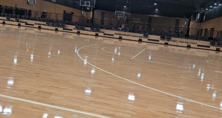 Shootinghoops