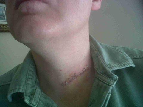 Cut-throat Mentoring…