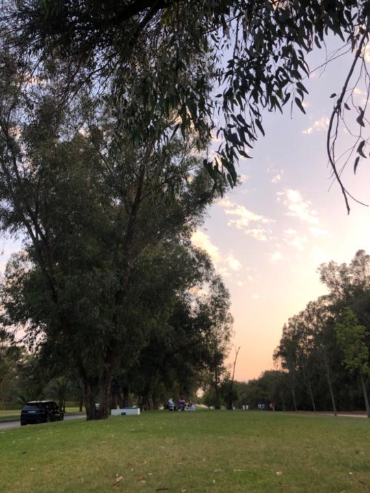 Soukaina C