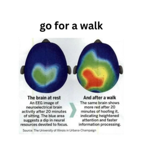 Walking is SO underrated 🚶‍♀️