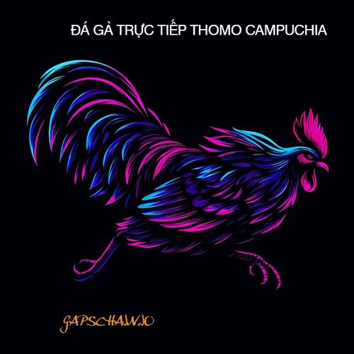 Đá gà trực tiếp Thomo