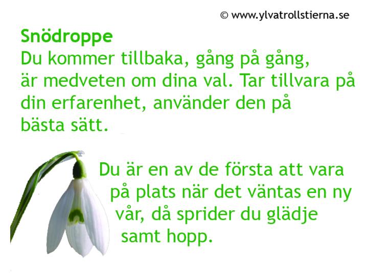 Önskar dig en härlig fredag