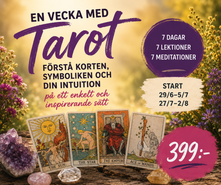 Den 29 startar Tarot sommarkursen