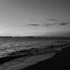 Yanis Tamourt