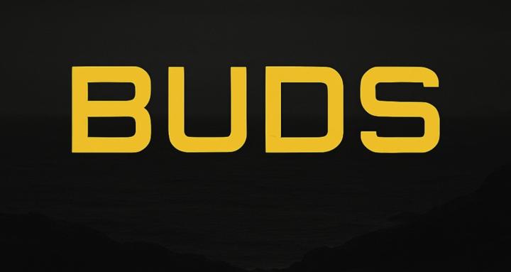 BUDS