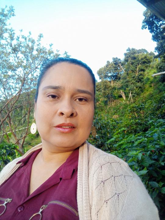 Flor Ninco