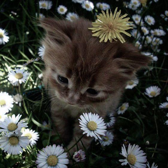 Aairaaaxxx Locked in