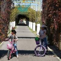 Alberto Martín Palacios Ramírez