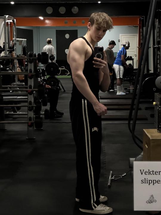 Nicolai Rudebeck-Wolff