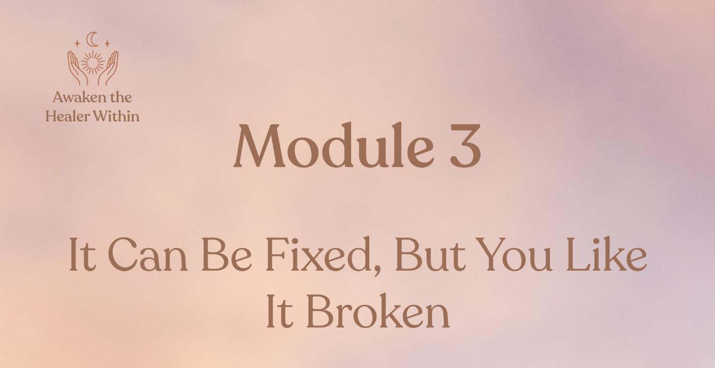 Module 3: It Can Be Fixed, But You Like It Broken