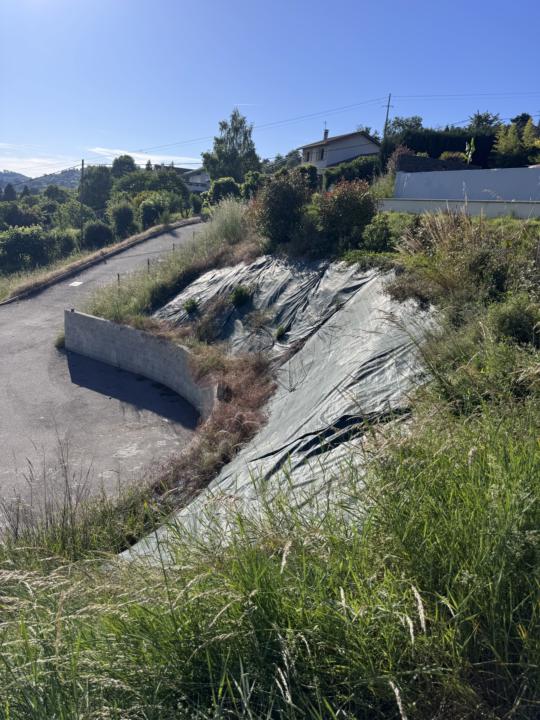 Devis tonte + débroussaillage 
