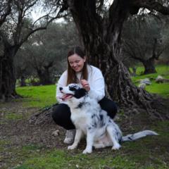 Sivan Elyashiv