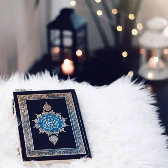 محمد محمود موسى