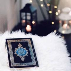 محمد محمود موسى