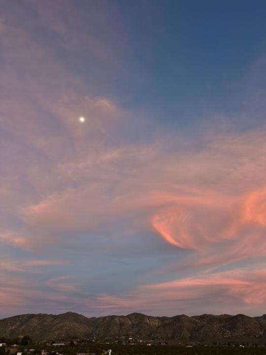 what’s ur fave spot?