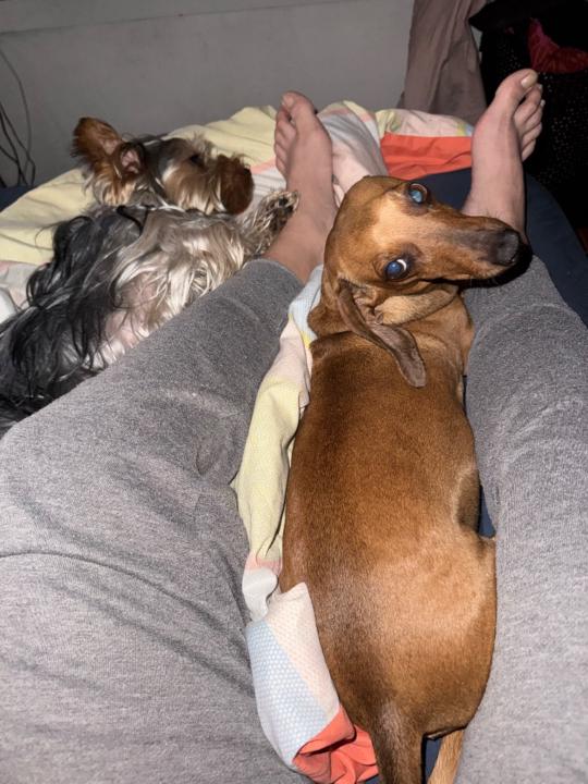 Marcela Soto Castillo