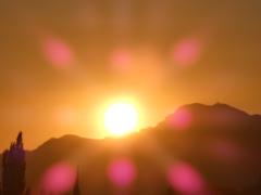 Sébastien Couthures