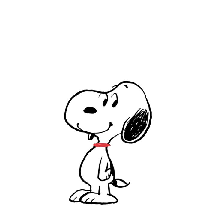Matt Snoopy