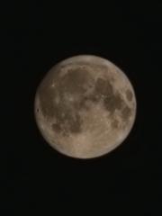 Leo Ekholm Schöldstrom