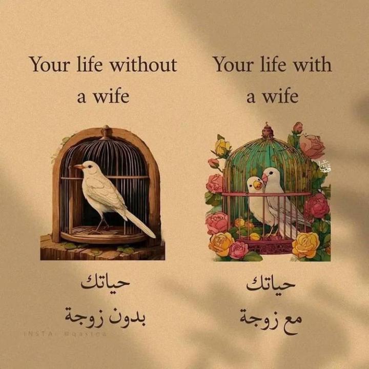 Salah Z